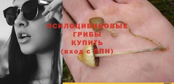 а пвп мука Абаза