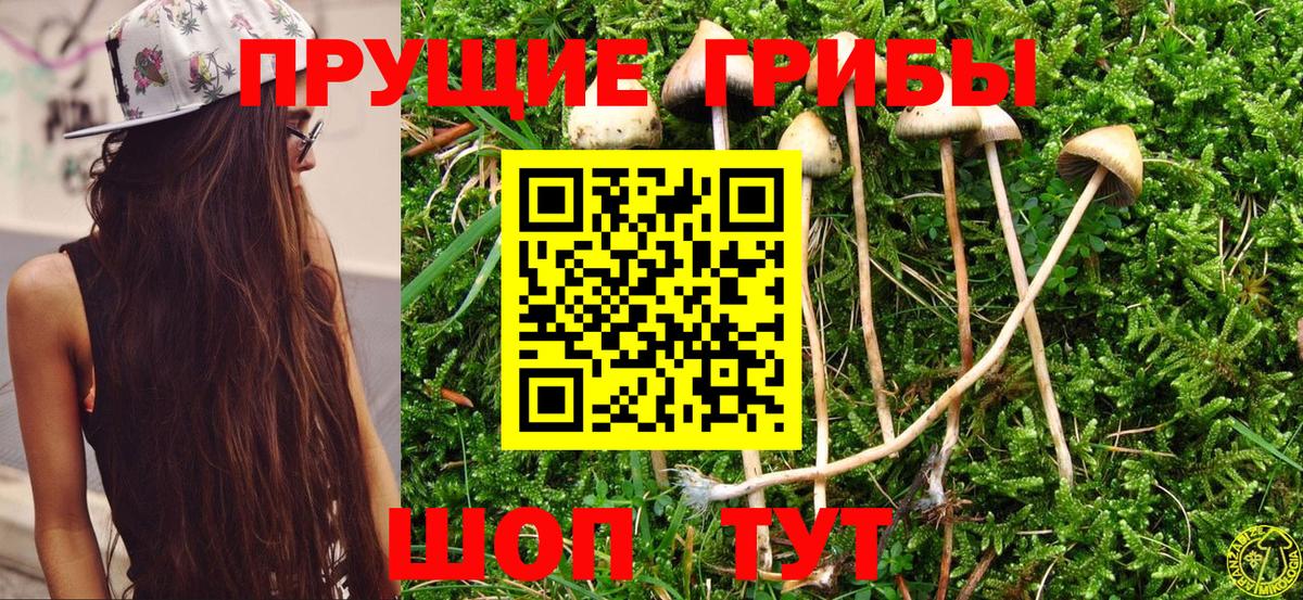 Псилоцибиновые грибы Азов