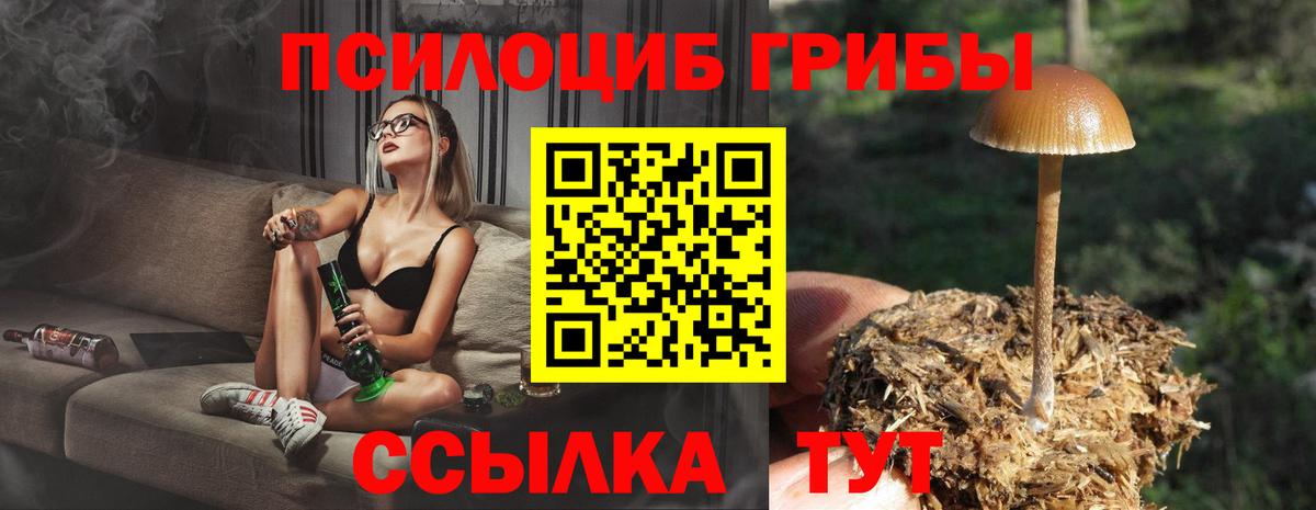 хочу наркоту  Галлюциногенные грибы прущие грибы  Вход с VPN  Азов 