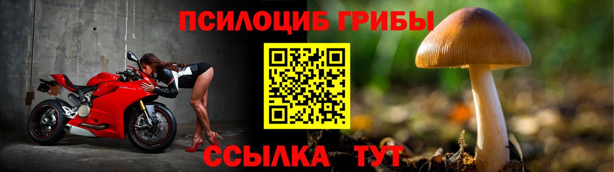 Галлюциногенные грибы Psilocybine cubensis Азов
